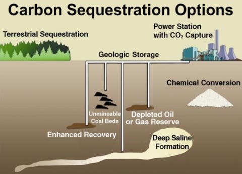 How do we stop global warming while renewable technologies to meet our energy needs are still under development? Part of the answer may lie in an emerging transition technology called Carbon dioxide (CO2) Capture and Storage (CCS).