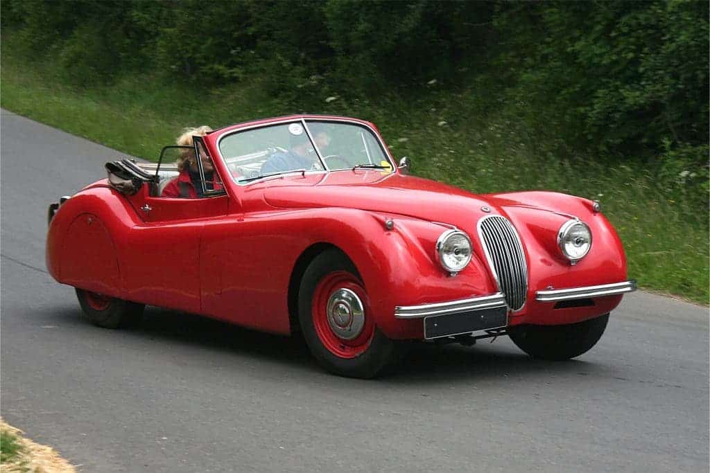 jaguar