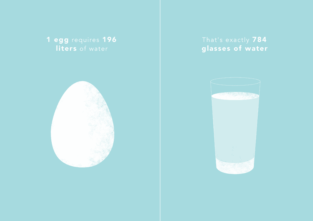 egg water