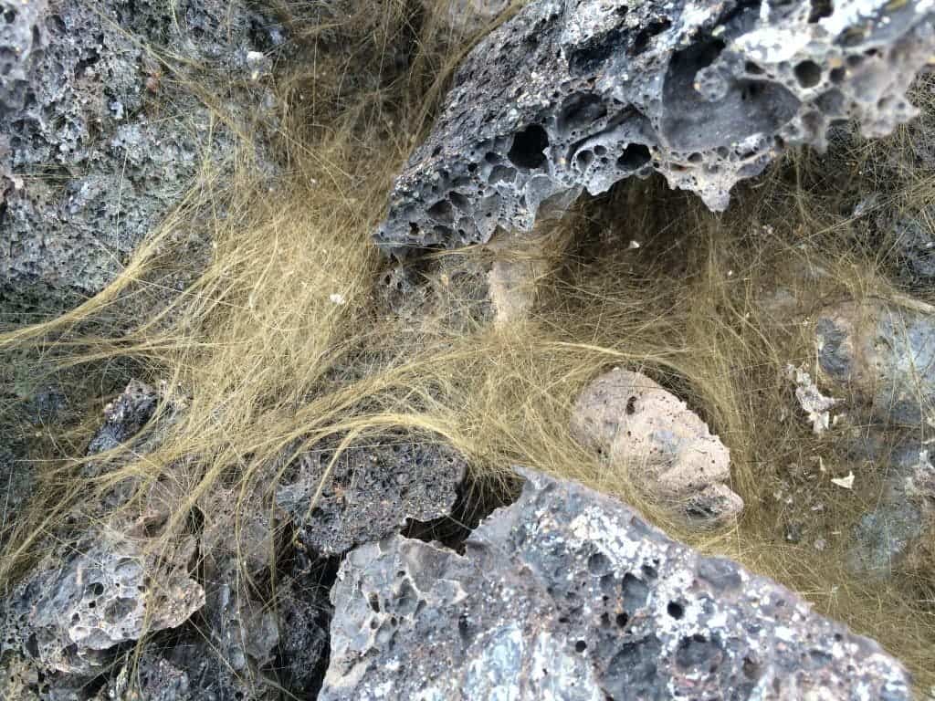 Pele’s hair Greenish-gold strands of Pele’s hair form when bubbles in hot lava pop and throw droplets into the wind. The droplets can elongate into perfectly straight, glassy strands that are as thin as human hair. Credit: NASA/GSFC/Andrea Jones In June, five student journalists from Stony Brook University’s Alan Alda Center for Communicating Science packed their hiking boots and hydration packs and joined a NASA-funded science team for 10 days on the lava fields of Kilauea, an active Hawaiian volcano. Kilauea’s lava fields are an ideal place to test equipment designed for use on Earth’s moon or Mars, because volcanic activity shaped so much of those terrains. The trip was part of an interdisciplinary program called RIS4E – short for Remote, In Situ, and Synchrotron Studies for Science and Exploration – which is designed to prepare for future exploration of the moon, near-Earth asteroids and the moons of Mars. To read reports from the RIS4E journalism students about their experiences in Hawaii, visit http://ReportingRIS4E.com