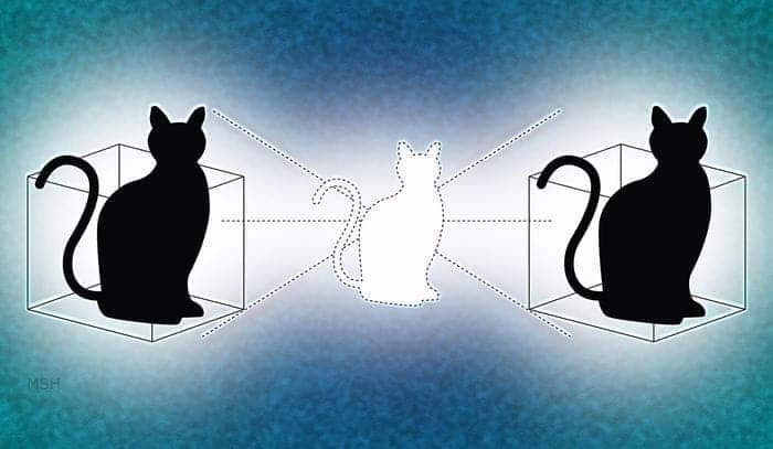 Yale physicists have given Schrödinger's cat a second box to play in. Credit: Illustration by Michael S. Helfenbein/Yale University