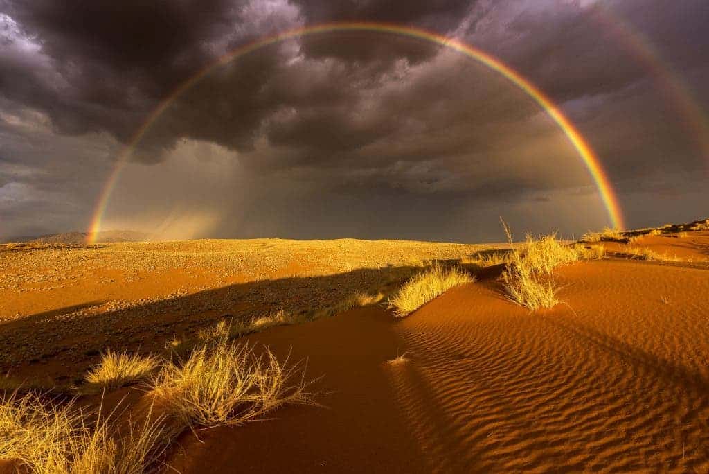 Over the last 7 years I had one aim - photograph rain in the driest desert of Africa. In 2015 finally I found the rain. In the breathtaking scenery of the Namibrand-Park right at the border of the Namib Naukluft Nationalpark. An enormous thunderstorm came in and the setting sun created a wonderful rainbow. The challenge was, to not have my shadow in the picture.