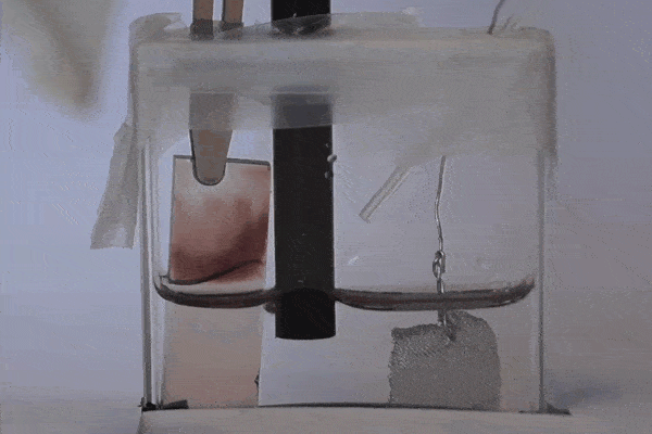 Self-shading windows MIT