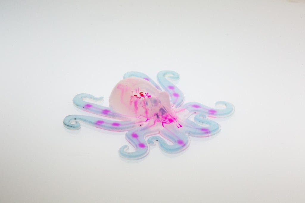 This image shows the octobot, an entirely soft, autonomous robot. A pneumatic network (red) is embedded within the octobot’s body and hyperelastic actuator arms (blue). Credit: Ryan Truby, Michael Wehner, and Lori Sanders, Harvard University.