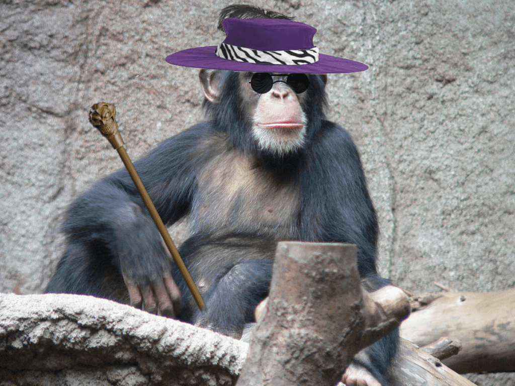 Schimpanse_Zoo_Leipzig