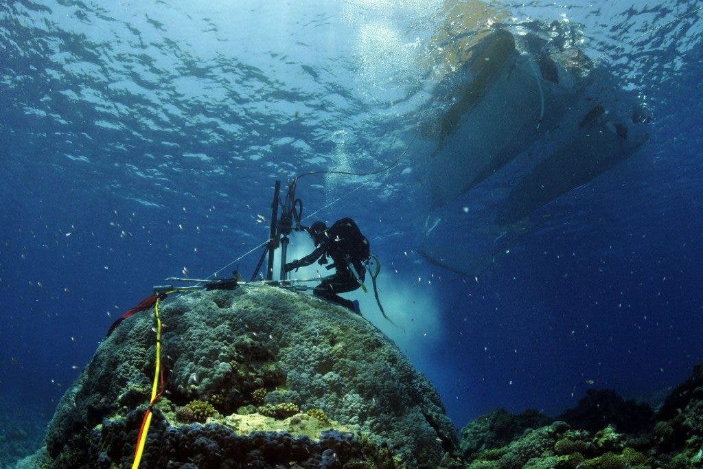 Coral coring at Rowley Shoals, west of Broome in Western Australia, November 2009. Credit: Eric Matson, Australian Institute of Marine Science