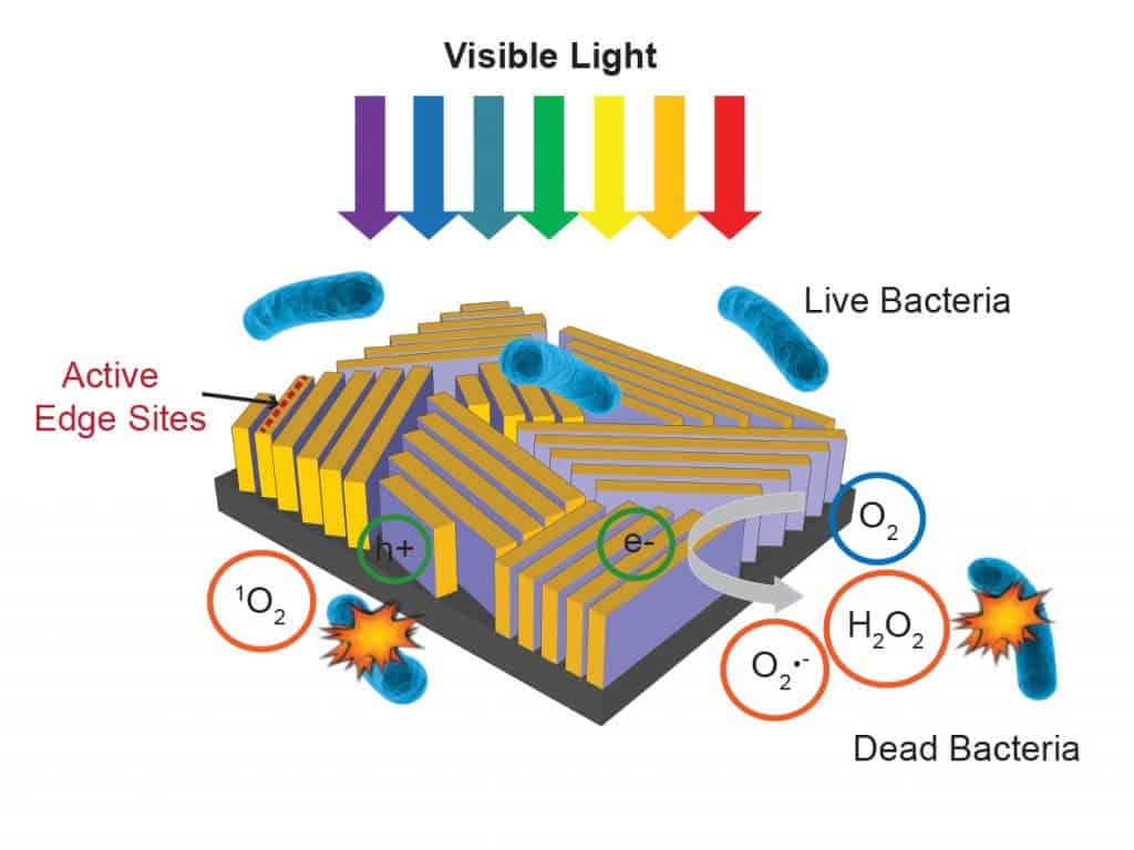 Schematic showing how Stanford's tiny black cube works to *kill bacteria*. Credit: SLAC National Accelerator Laboratory
