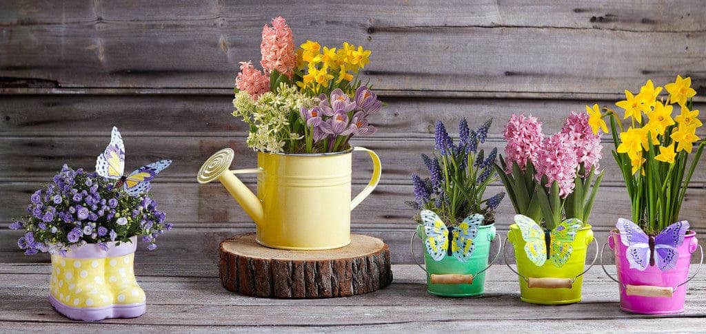 potted plants