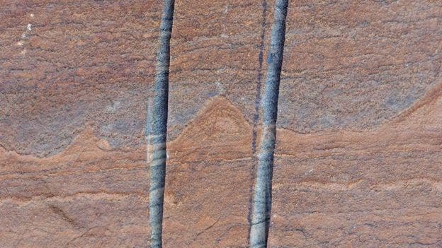 The stromalites trapped in layered rocks from Greenland. Credit: ALLEN NUTMAN