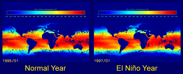 Animated sea surface temperature data. Credit: NASA JPL