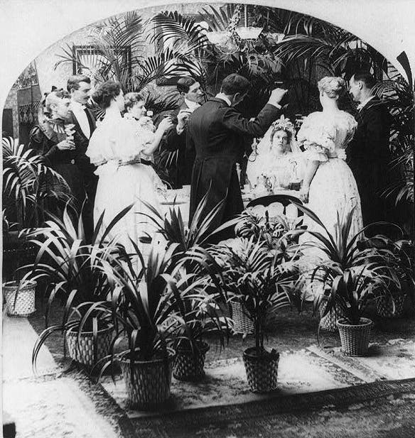 victorian potted plants