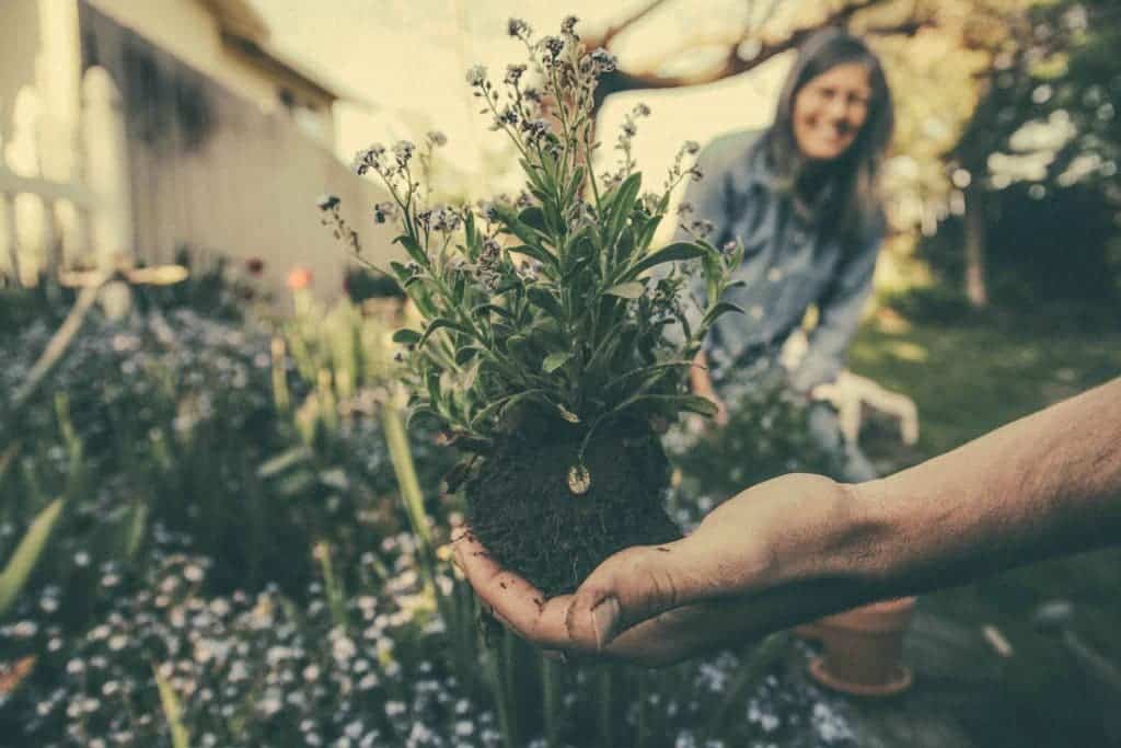 Better game theory could help us understand what motivates people to be better citizens and valuable members of their community. Image by Benjamin Combs.
