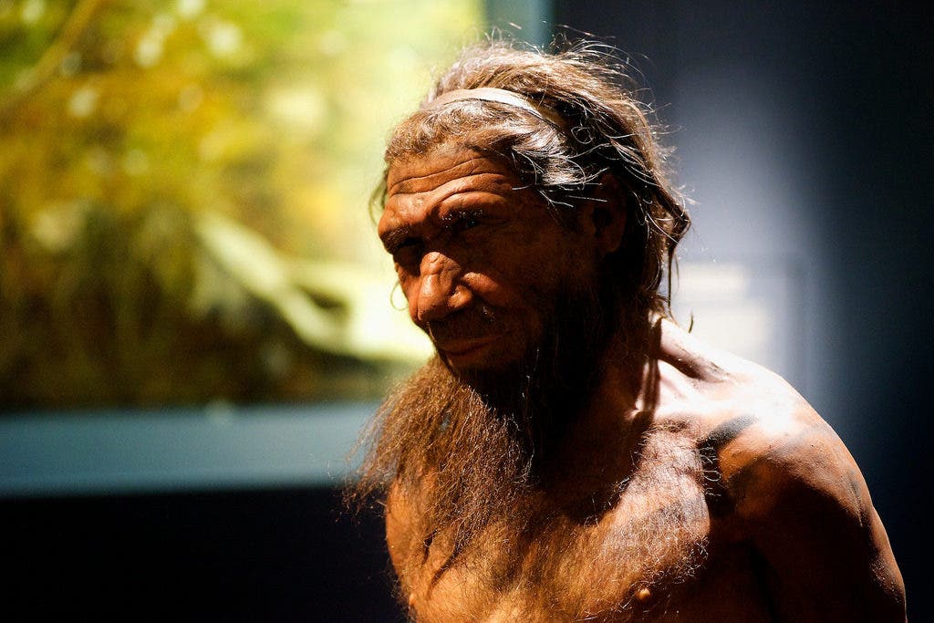 Neanderthals
