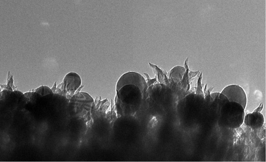 The catalyst is made of copper nanoparticles embedded into tiny carbon spikes. Credit: Oak Ridge National Laboratory