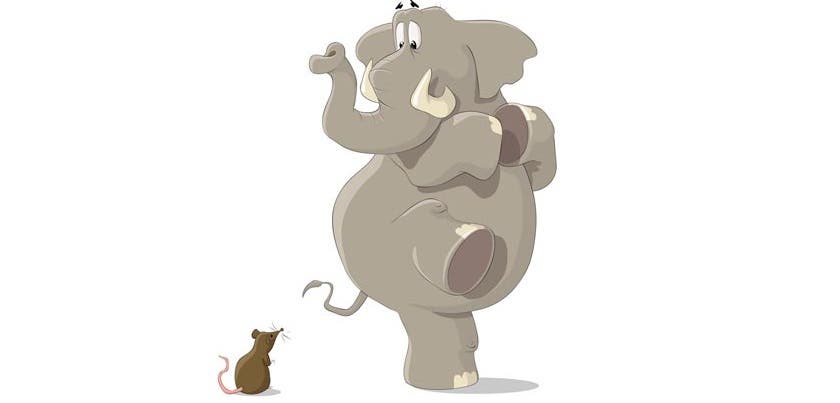 elephant and mouse