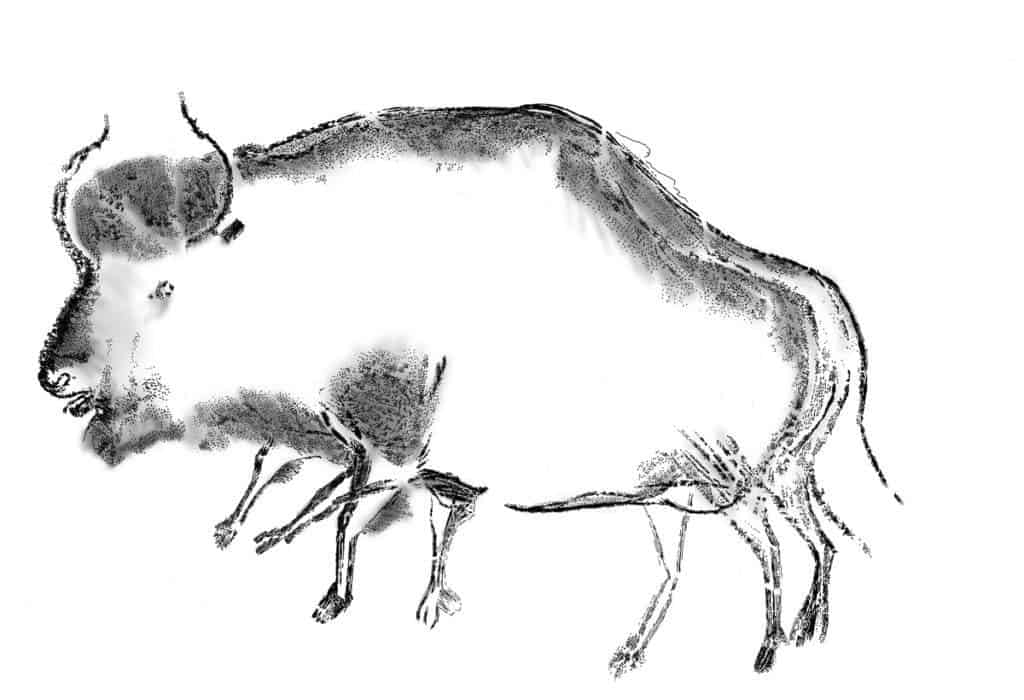 Reproduction of the blurred black charcoal drawing showing a stepped bison. The drawings were found at Chauvet-Pont d'Arc cave in Ardèche, France. Credit: Carole Fritz and Gilles Tosello