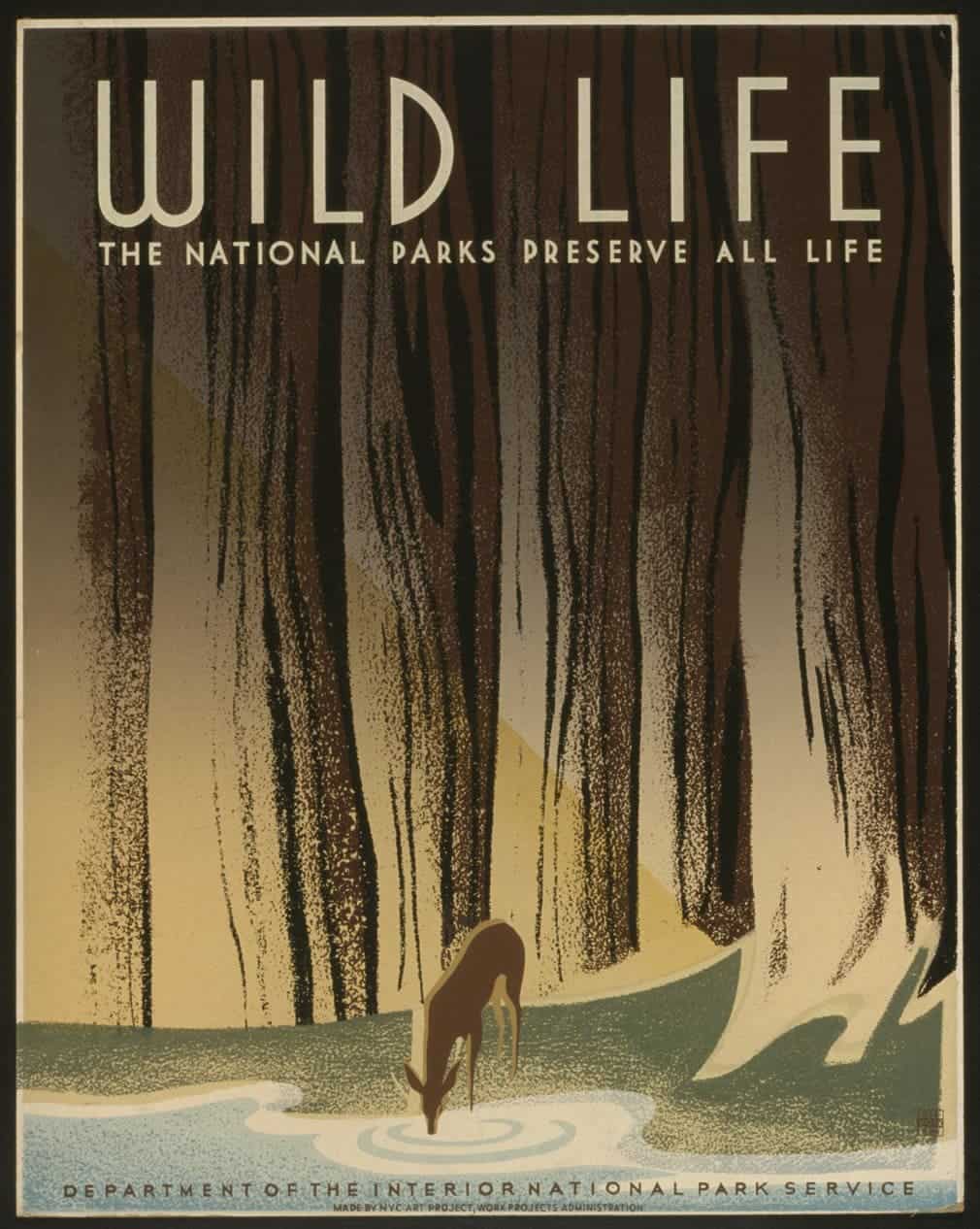 All life is sacred in the national park, 1940. 