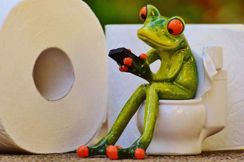 toilet