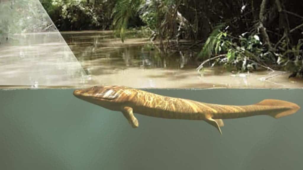 Tiktaalik
