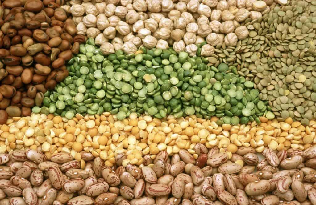 legumes fight against diabetes