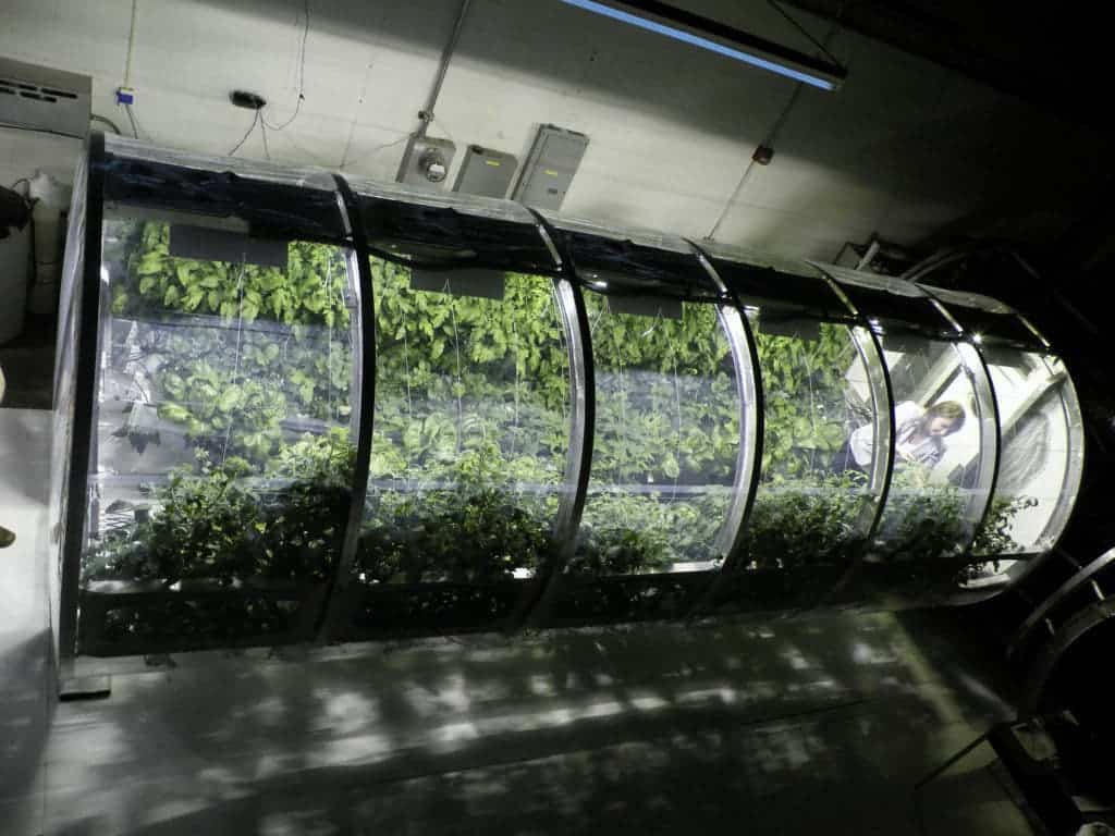 NASA's Greenhouse.