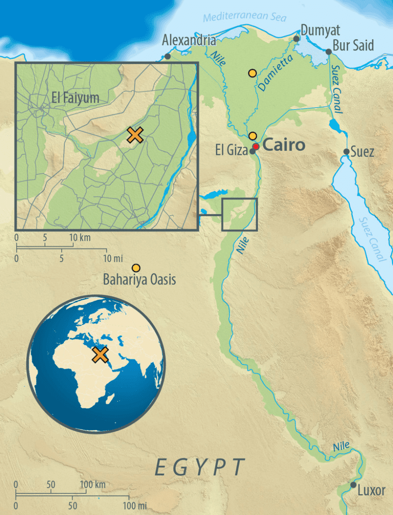 Map of Egypt, showing the archaeological site of Abusir-el Meleq (orange X), and the location of the modern Egyptian samples used in the study (orange circles). Credit: Graphic: Annette Guenzel. 