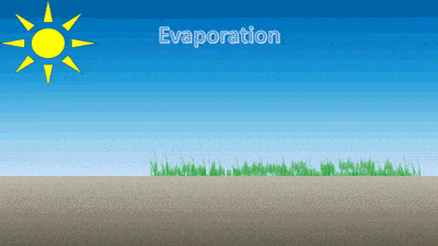evaporation rate