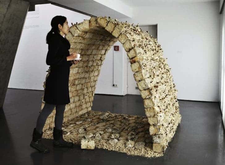 This arched-structure was exhibited at the Kunsthalle Düsseldorf as part of the 2009 Eat Art exhibit.
