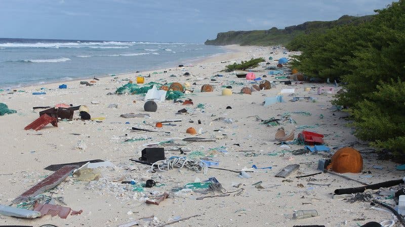 Henderson Island was once regarded as one of the most pristine landscapes in the world. This makes this desolate sight from Henderson even more hurtful. Every day, some 27 new pieces of junk wash up on the island according to a new study. Credit: Jennifer Lavers/University of Tasmania.