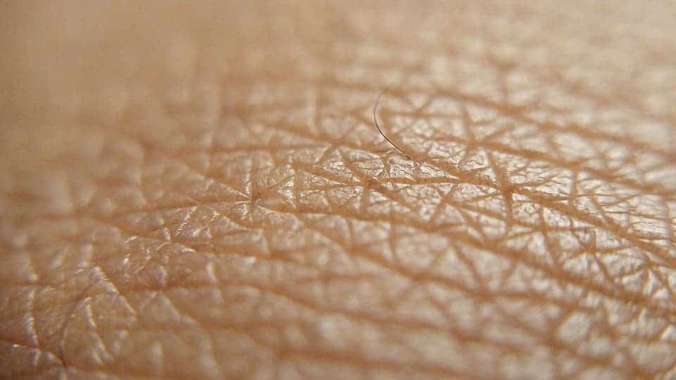 Human skin.