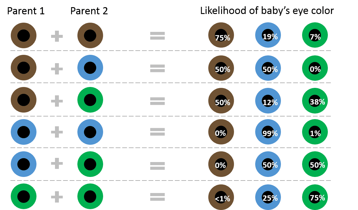 Note that this chart only takes into account parents’ eye colors. Because it only factors in the phenotype (i.e. what color the eyes appear) and not the genes themselves, it is not going to be 100% accurate in every case. Credit: SittingAround.