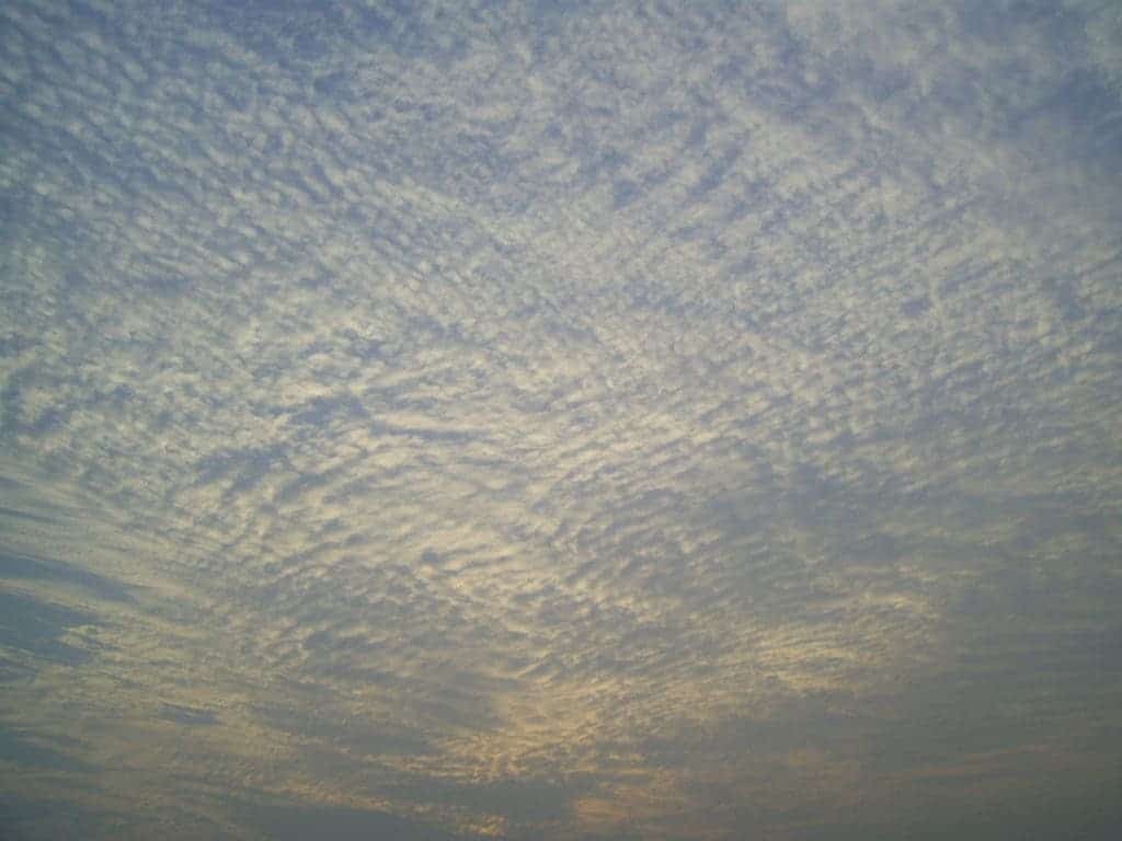 Cirrocumulus in Hong Kong. Credit: Wikimedia Commons.