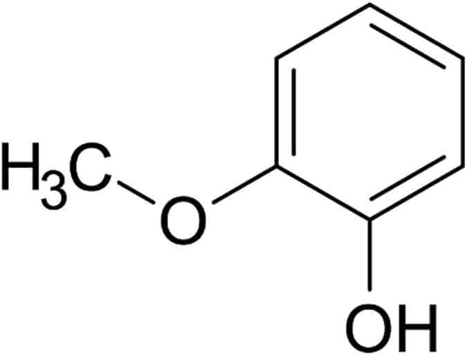 Schematic of 2-methoxy phenol, guaiacol. Credit: Scientific Reports.