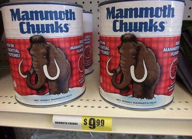 Mammoth Chunks.