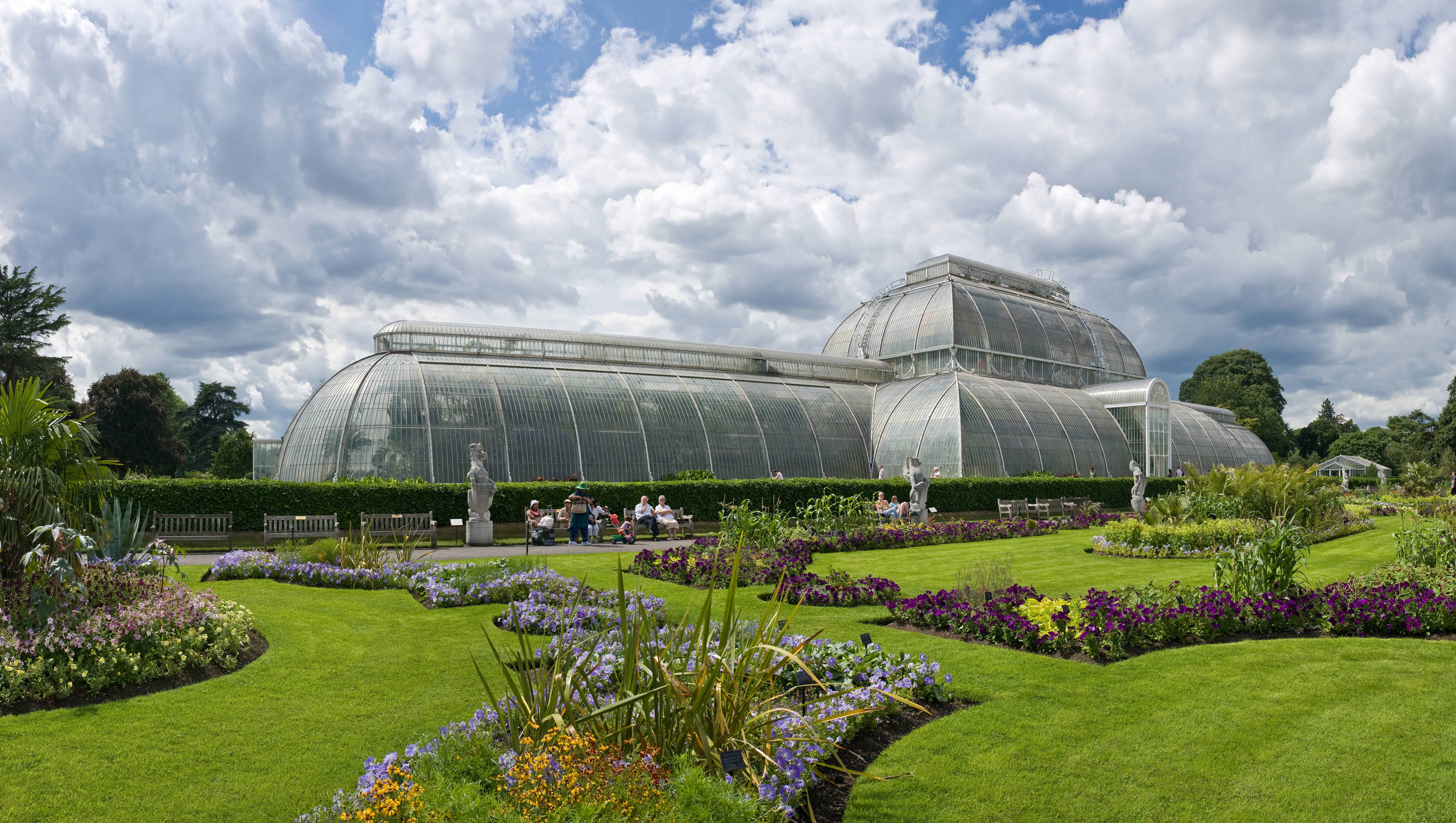 Botanic gardens might be our last shot to save endangered plants