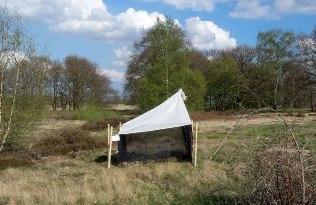 A malaise trap in a nature protection area in Germany. Credit: Hallmann et al (2017).