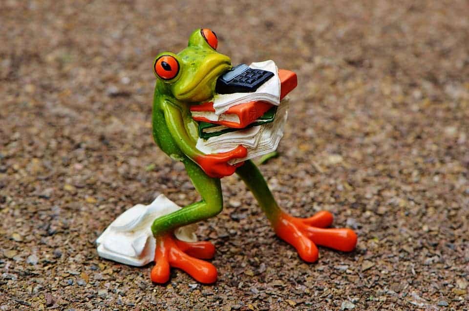 stressed frog