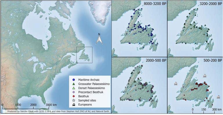 Newfoundland histo.