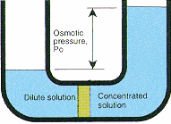 osmotic_pressure
