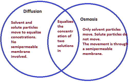 osmosis-and-diffusion-venn-diagram
