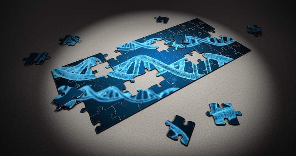 gene puzzle