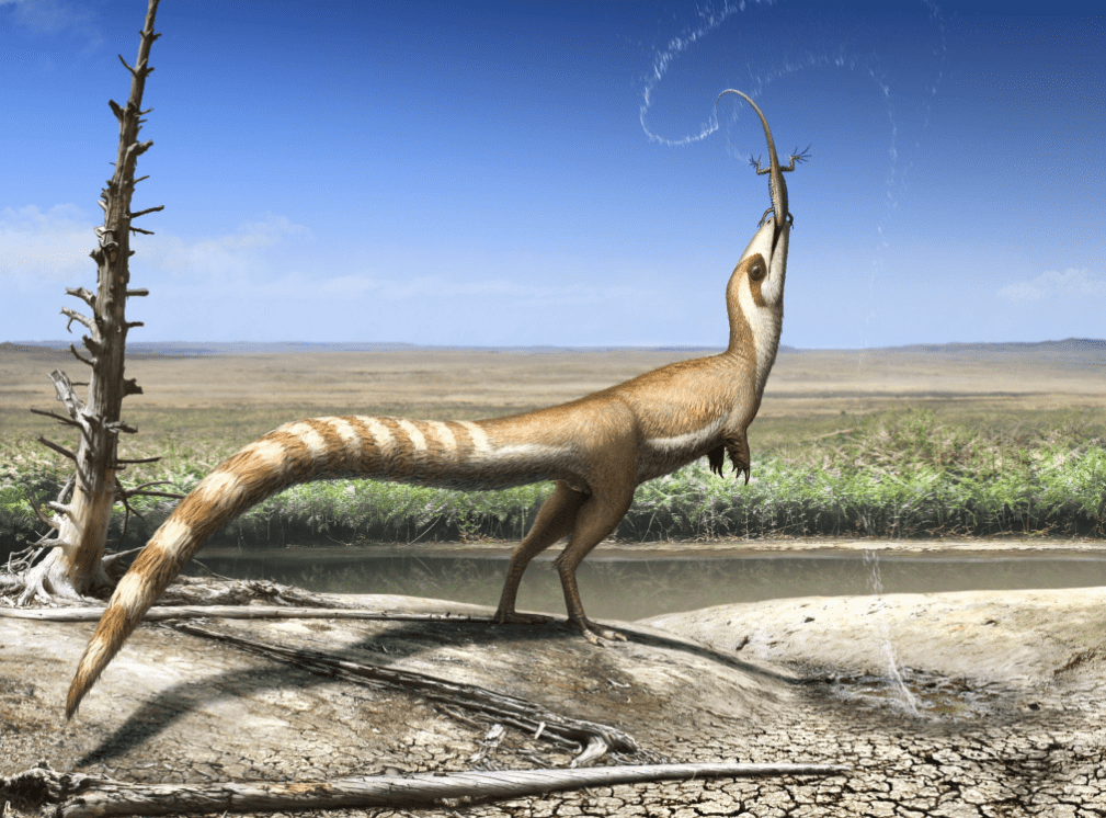 Sinosauropteryx probably lived in open environments, similar to today's gazelles. Credit: Robert Nicholls.