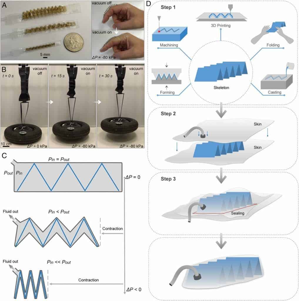Artificial muscle fold pattern.