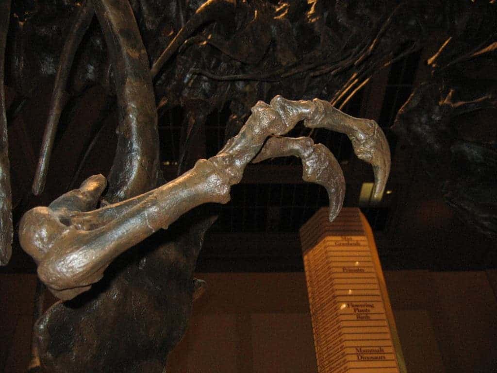 T-rex