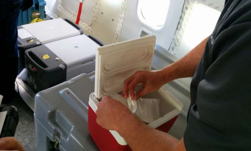 Project MERCCURI swabs retrieved in February 2015. Credit: Carl Carruthers.