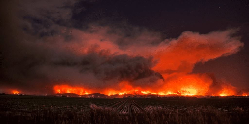 Ventura wildfires.