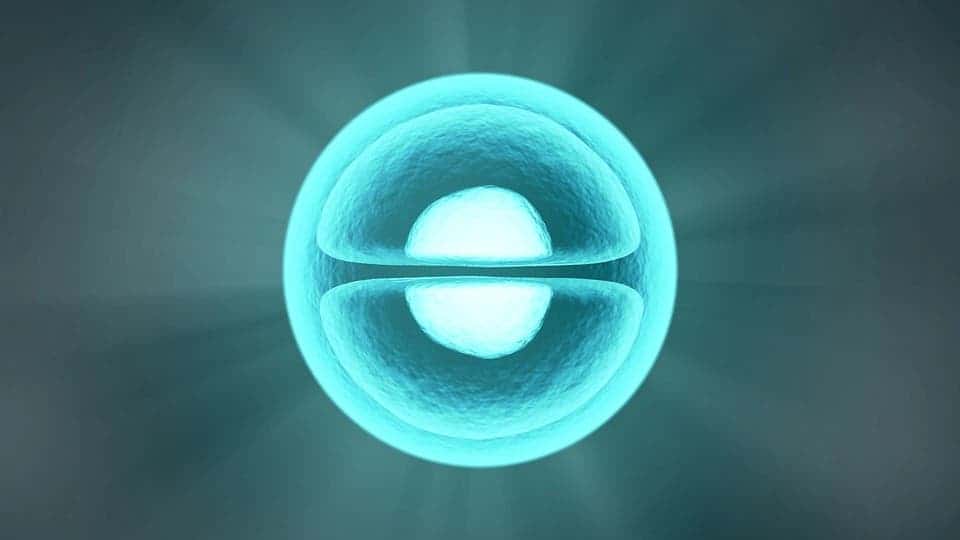 Cell dividing.