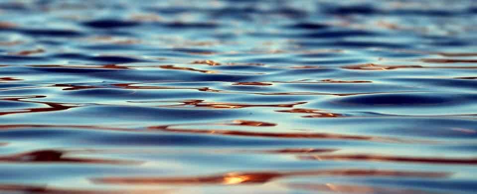 Water.