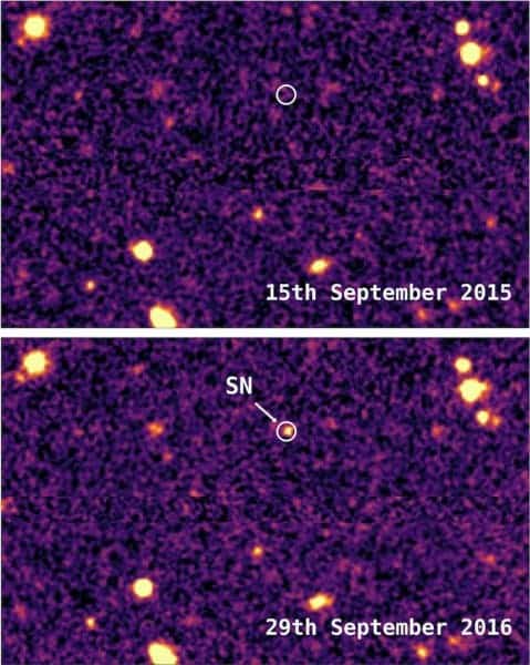 Top: Area of sky before the supernova was detected. Bottom: The supernova is detected. Credit: M Smith / DES.