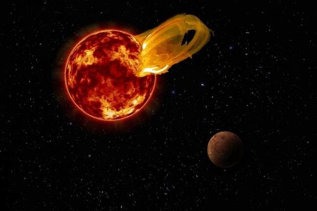 Proxima Flaresauri.